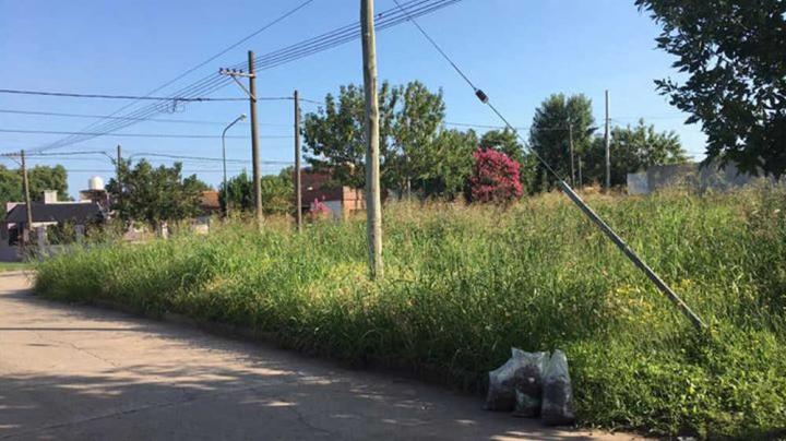 La Municipalidad de San Javier intima a dueños de terrenos por los pastizales