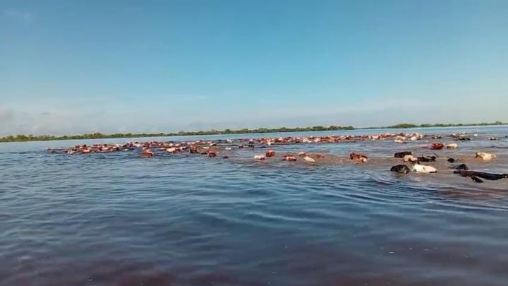 Rojas presentó un proyecto para asistir a las familias afectadas por las inundaciones en el norte provincial