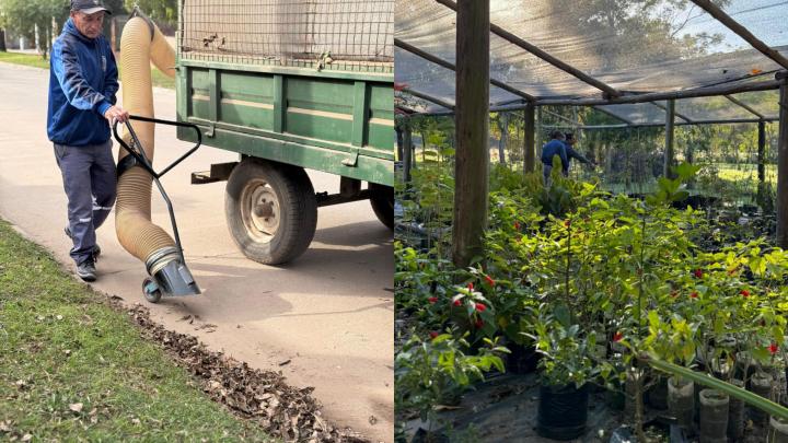 San Javier avanza con el Operativo Otoño y transforma hojas recolectadas en compost para el vivero municipal