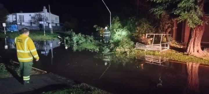 Avenida Teófilo Madrejón permanecerá sin iluminación por caída de árboles y cables