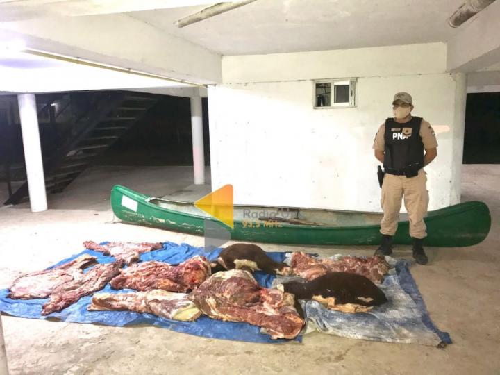 La Prefectura de San Javier detuvo a un masculino con casi 300 kilos de carne en la isla 