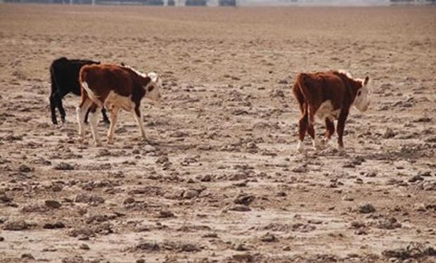 Cayastá comunica que está vigente la emergencia agropecuaria provincial
