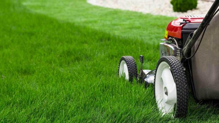 San Javier: El Municipio solicita el correcto corte de pasto en los frentes de viviendas, locales y propiedades 