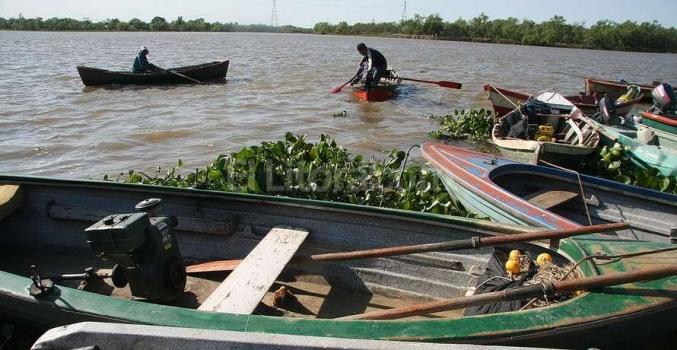 Los pescadores con licencia comercial y de subsistencia están cobrando $16.000 del 