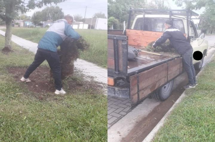 Los descubrieron robándose panes de césped en el norte de la ciudad de Santa Fe