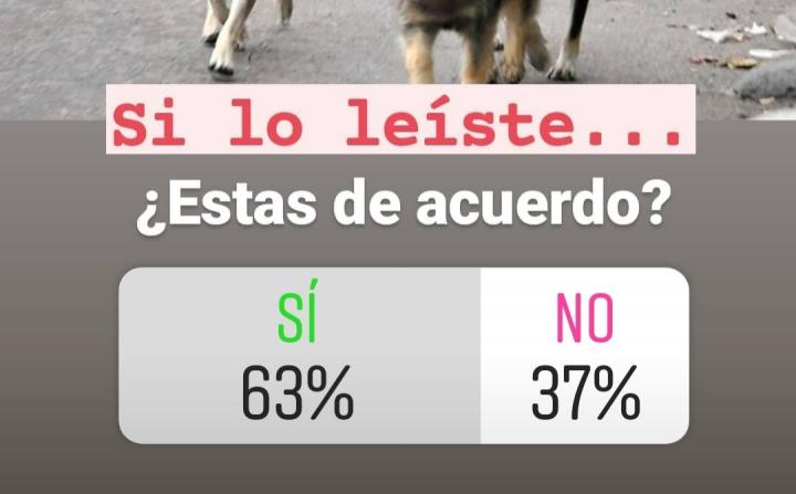 San Javier: amplio apoyo al proyecto de regulación canina que trata el Concejo Deliberante 