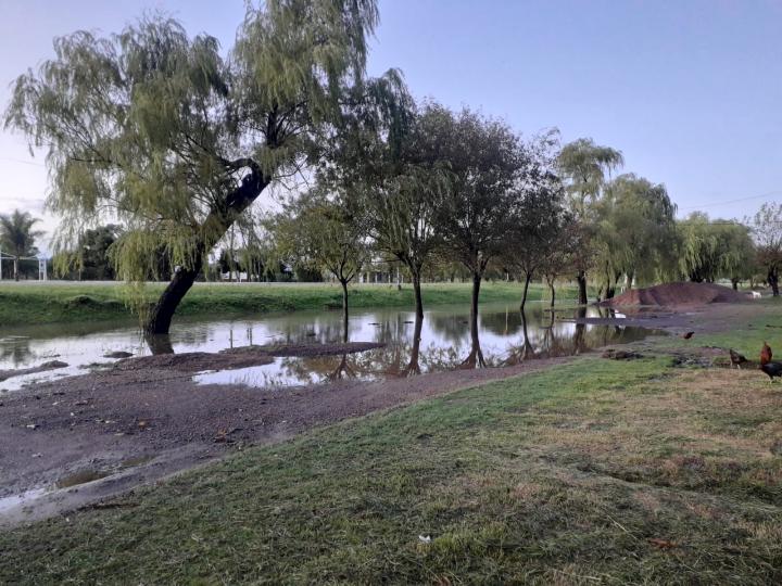 Hermoso chaparrón en Colonia Teresa y San José pero poca lluvia en el resto 