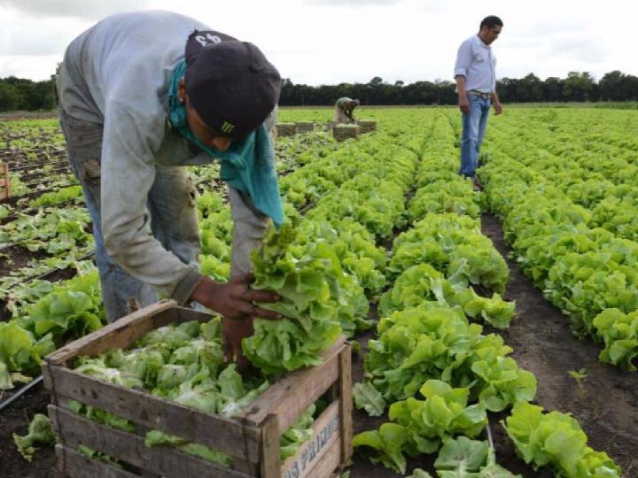 Importantes créditos para pequeños productores