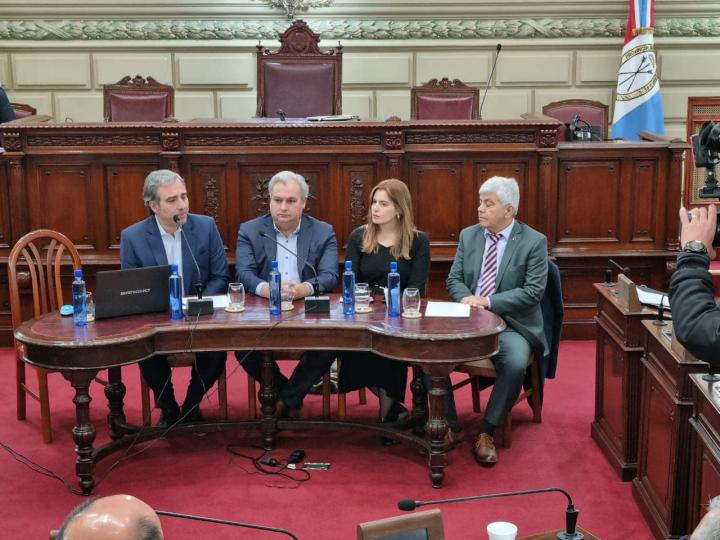 Diputados:  Audiencia Pública por el robo de cables en la vía pública