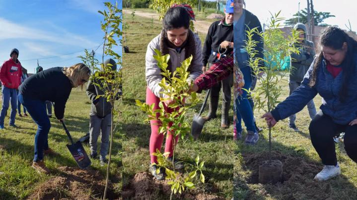 Santa Rosa de Calchines: Tareas de forestación en Barrio Guemes