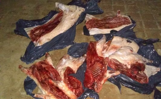 Helvecia: la policía secuestró una escopeta, un motor, un vehículo y decomisó cinco carpinchos