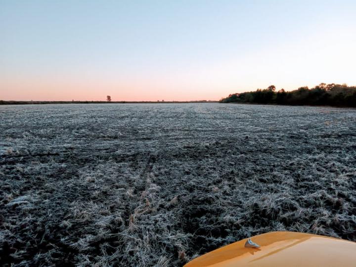Este miércoles habrá otra gran helada en la zona 