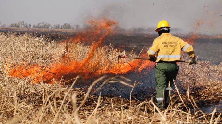 Nación se suma a la demanda judicial de Rosario y Santa Fe por el fuego en las islas