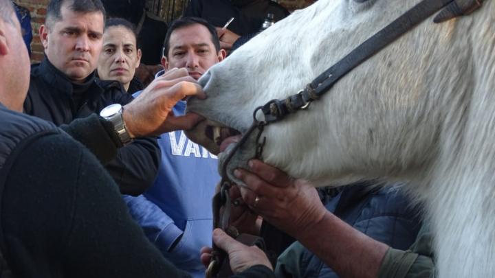 Policías de la Unidad Regional XIV se capacitaron sobre legislación rural