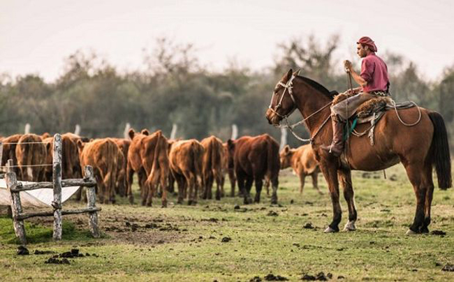 UATRE acordó un 70 % de aumento para los trabajadores rurales