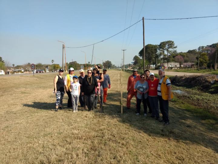 San Javier: Se plantaron 21 árboles a la vera de la Ruta N° 1