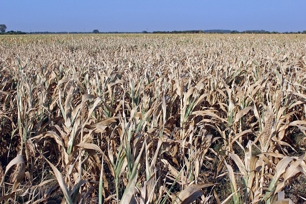Pronostican pocas lluvias y calor para los próximos meses