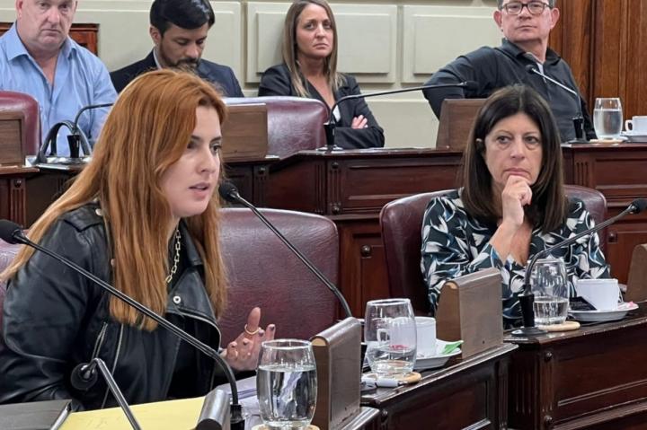 Preocupación socialista tras reunión con Rimoldi: “En un año, apenas ejecutaron el 1,5% de la Ley de Emergencia en Seguridad” 