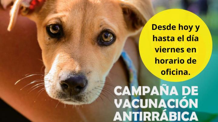 La Brava: Campaña de vacunación antirrábica