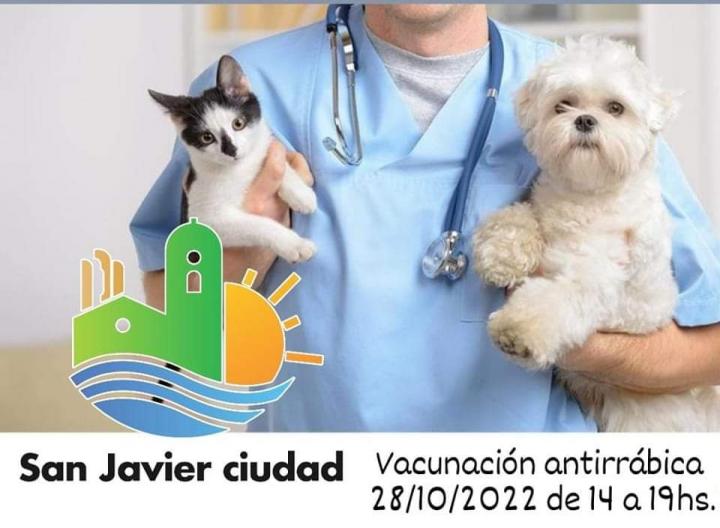 San Javier: Jornada gratuita de vacunación antirrábica para mascotas 