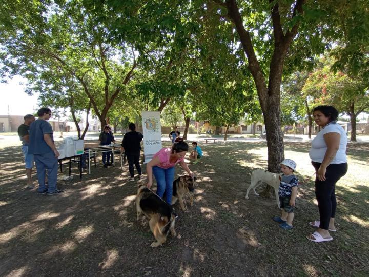 El área social del gobierno de San Javier llevó adelante una masiva jornada de vacunación antirrábica 