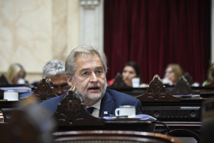 Mirabella presentó dos proyectos para endurecer las penas a robos y hurtos