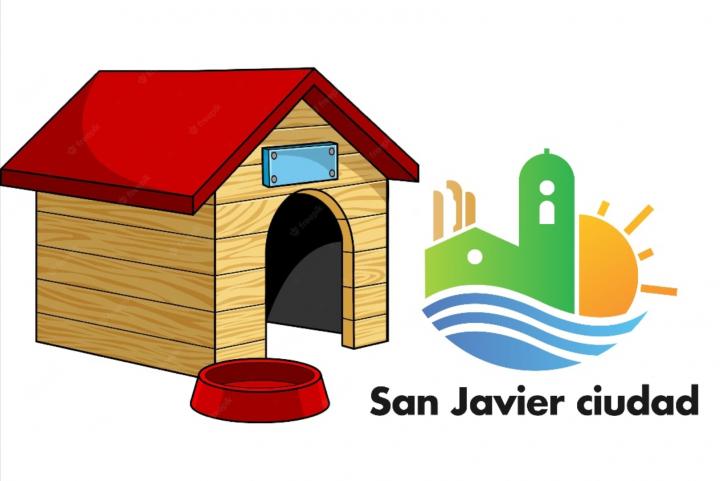 San Javier: el municipio rescató y alojó cinco perros de los sueltos en la plaza