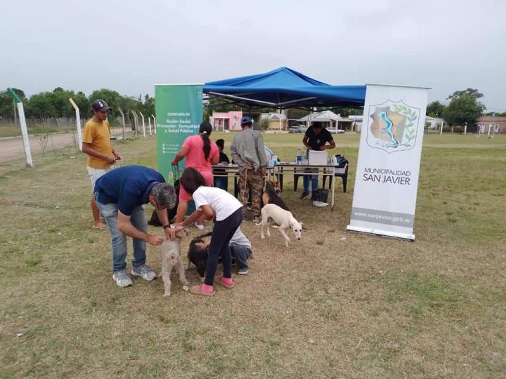 San Javier: sigue a paso firme, la campaña antirrábica para mascotas 