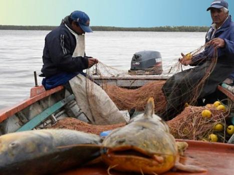 Los pescadores de Santa Fe fueron autorizados a trabajar los viernes