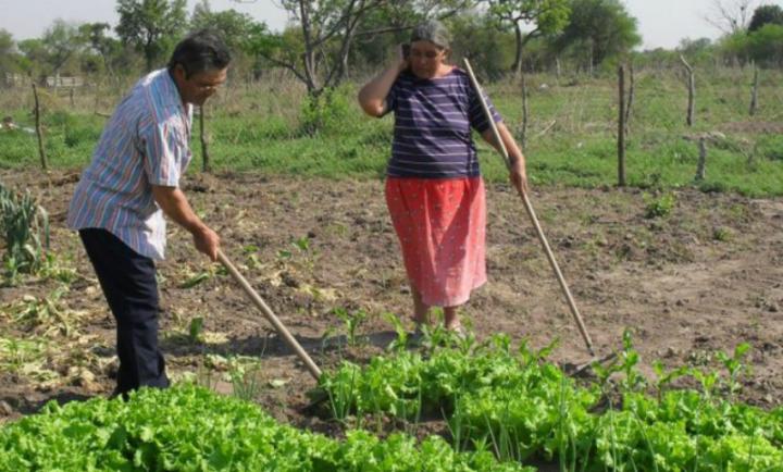 San Javier: Se llevará adelante un operativo provincial de asistencia a Pequeños Productores