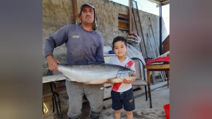 Siguen apareciendo salmones chinos en islas de Santa Fe