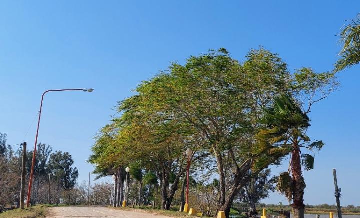 Se emitió un alerta por fuertes vientos para la zona 