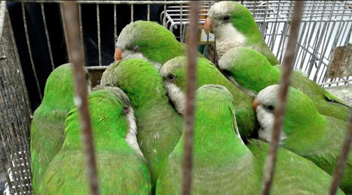 Internaron a cuatro personas en Rafaela por la 