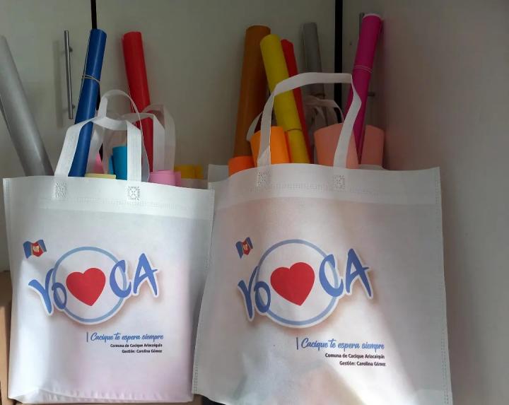 Cacique Ariacaiquín: La Comuna entregará útiles escolares a las familias locales