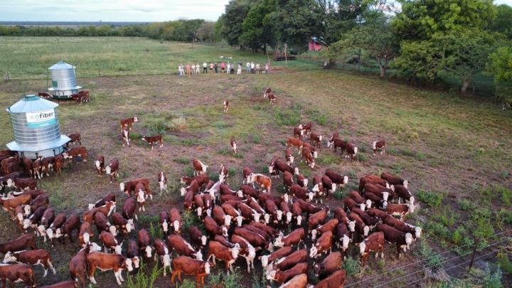 INTA San Javier: Jornada sobre Alimentación del Rodeo de Cría, con énfasis en la nutrición del ternero de destete