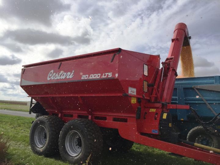 Trágico accidente laboral rural en Colonia Mascías 