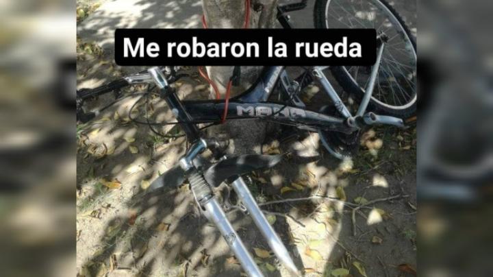 San Javier:como no pudieron robar la bicicleta, le sacaron la rueda