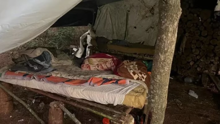 Cuatro argentinos se fueron a trabajar como leñadores a Brasil y terminaron esclavizados