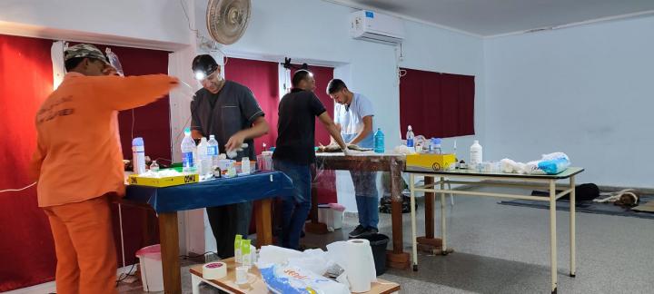 La Municipalidad de San Javier realizó la castración de otras 40 perras y gatas 
