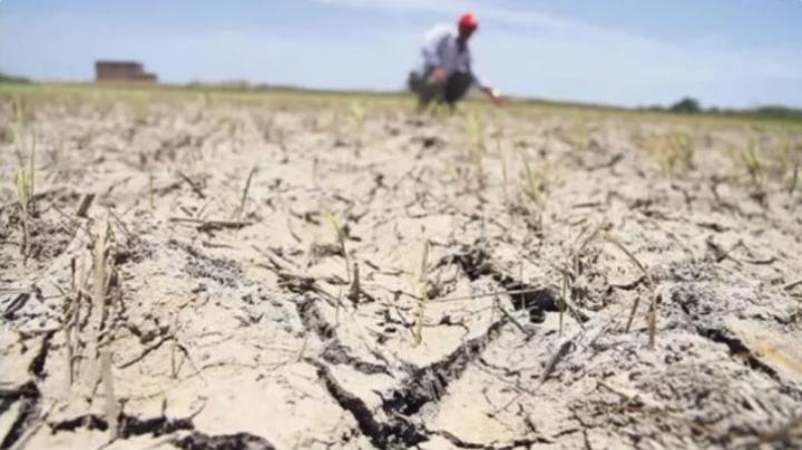 Declaran emergencia o desastre agropecuario en cuatro departamentos