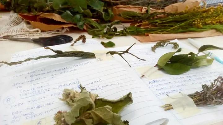 Santa Rosa: Comenzó el taller de biopreparados, cosmética natural y plantas para cuidados cotidianos