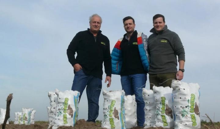 El desafío de producir papa en el corazón de la cuenca arrocera santafesina