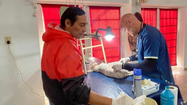 Este sábado se realizó otra jornada de castraciones en el CIC