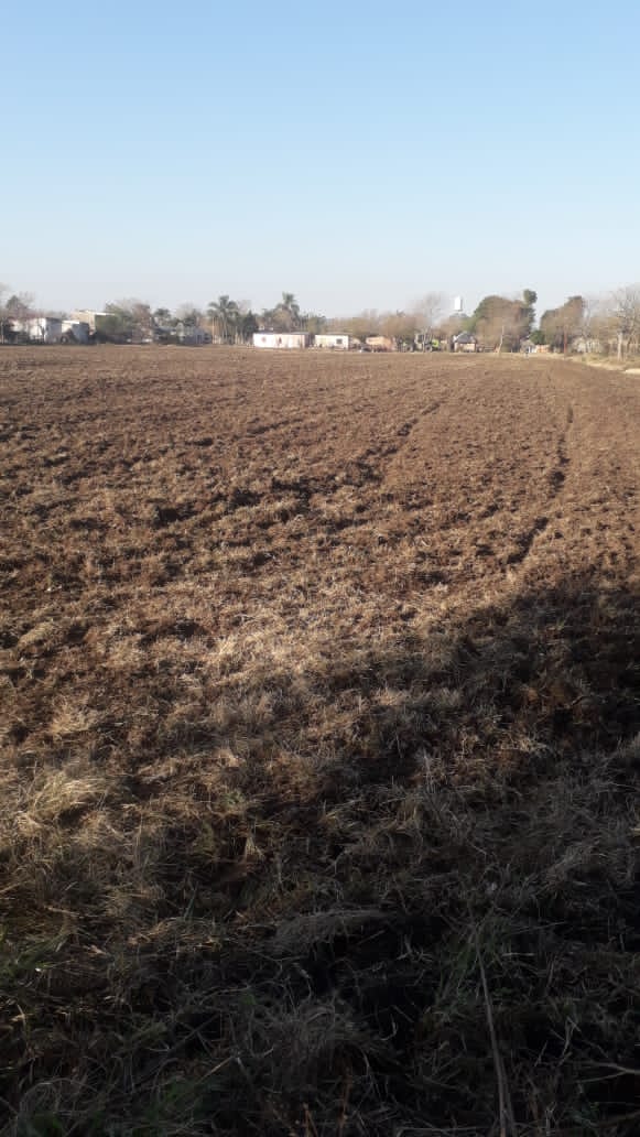Arado de Cancha