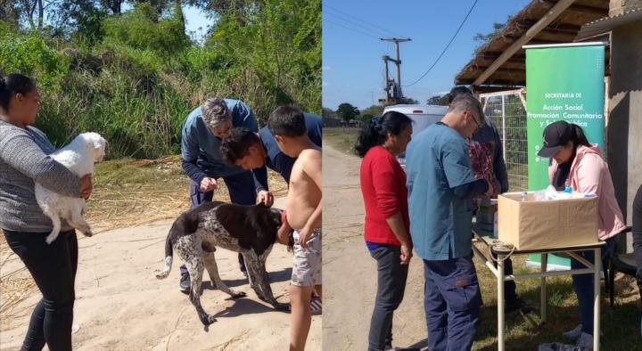 La Municipalidad de San Javier continúa con la vacunación de mascotas 