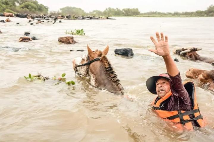 Oscar Dolzani pidió postergar la campaña de vacunación por la crecida y emergencia de los productores ganaderos