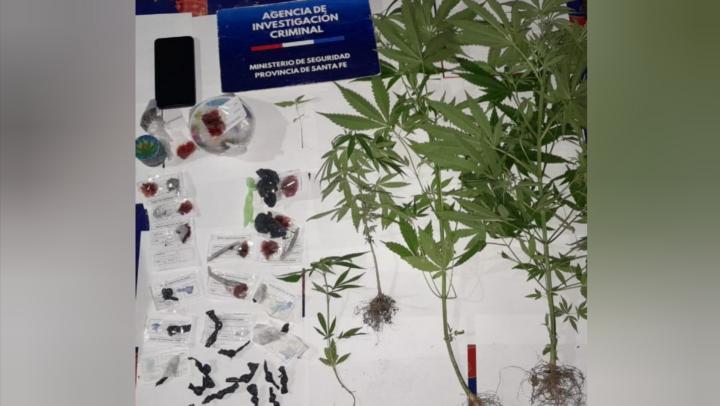 Helvecia: una mujer tenía marihuana, cocaina y plantas de cannabis