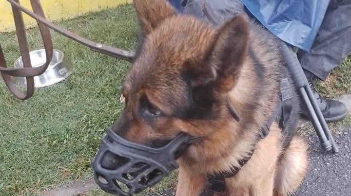 Policía de Santa Rosa de Calchines provocó disturbios en el partido de Colón - Gimnasia 