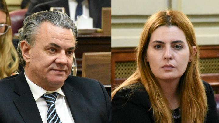 El Socialismo valoró la aprobación de la ley de inteligencia: “apunta a la prevención del delito y a proteger a la población”