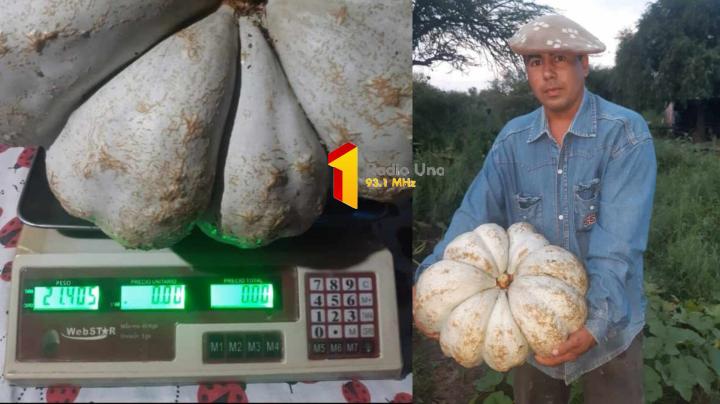  GERMAN, COSECHÓ UN SUPER ZAPALLO 